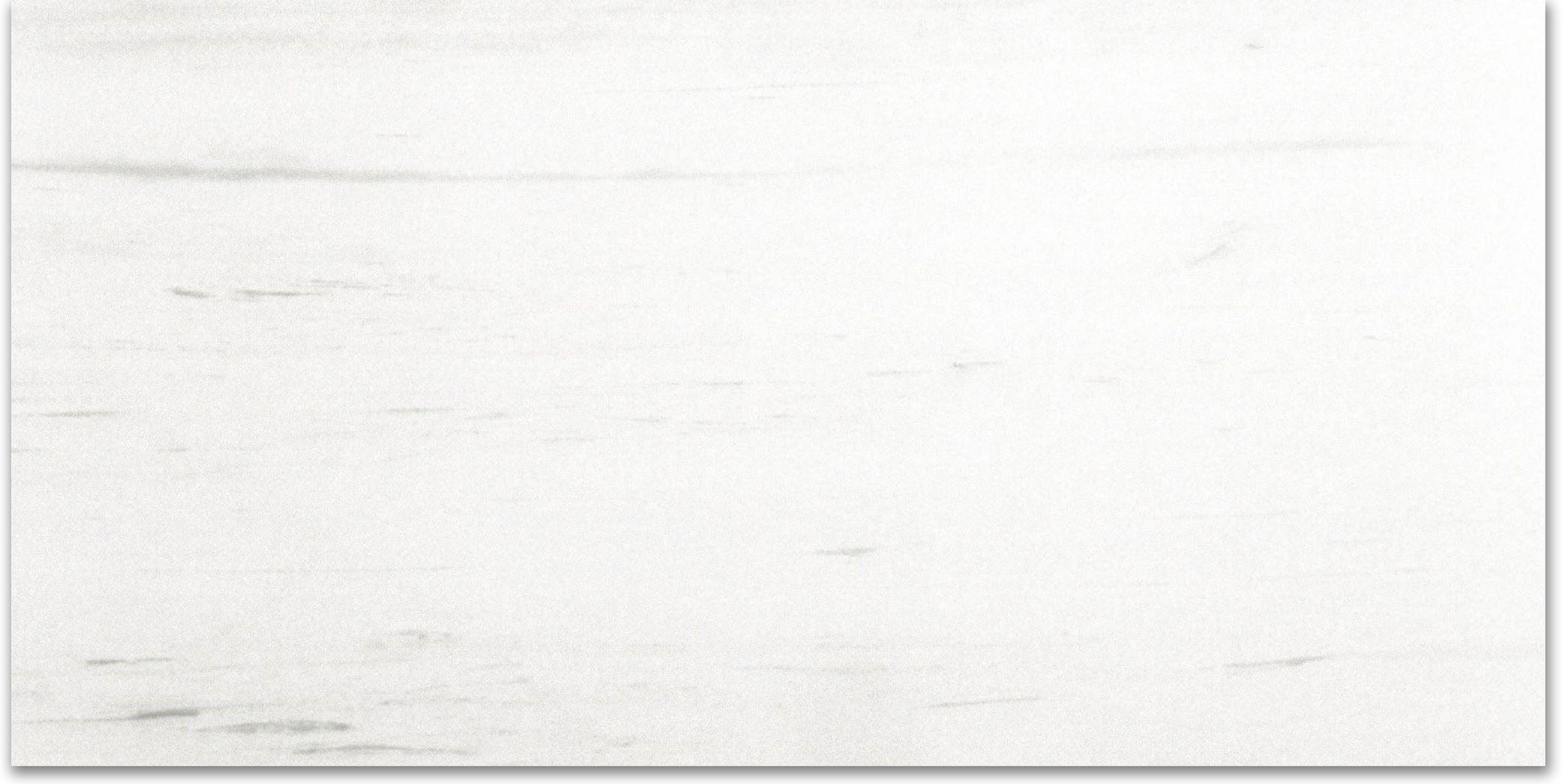 Polished Devotion 12X24 | North Hills Flooring