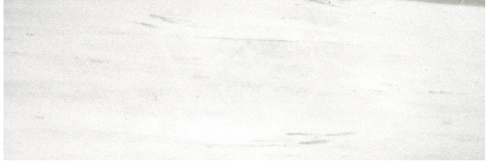 Polished Devotion 4X12 | North Hills Flooring