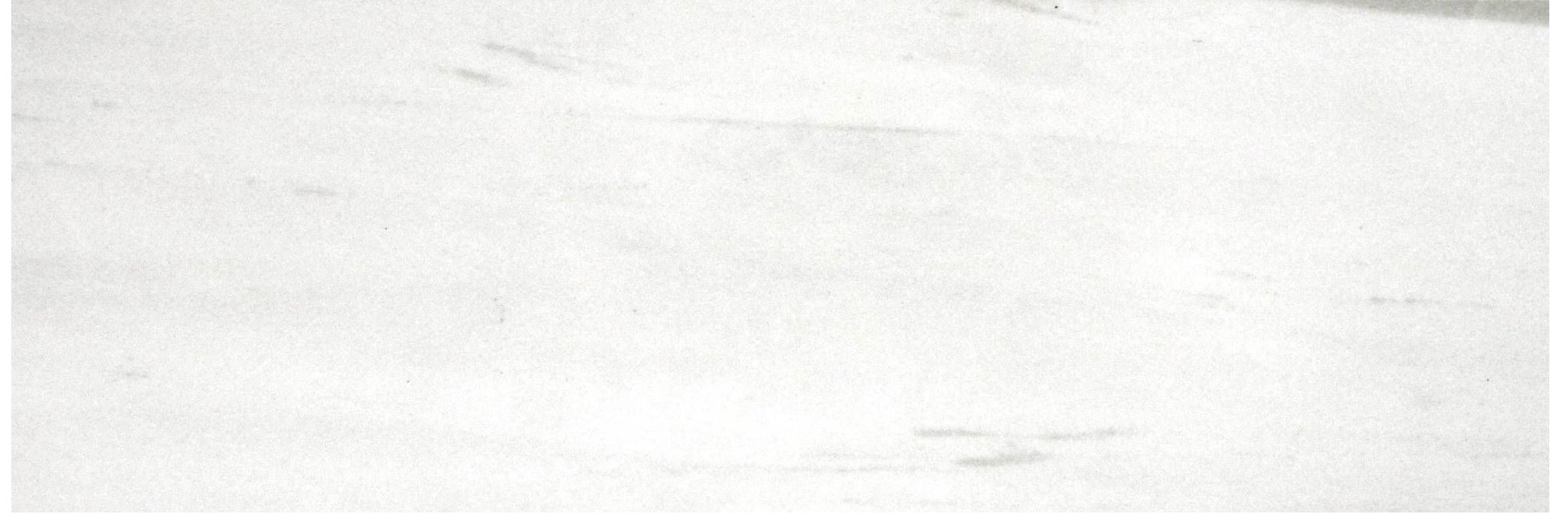 Polished Devotion 4X12 | North Hills Flooring