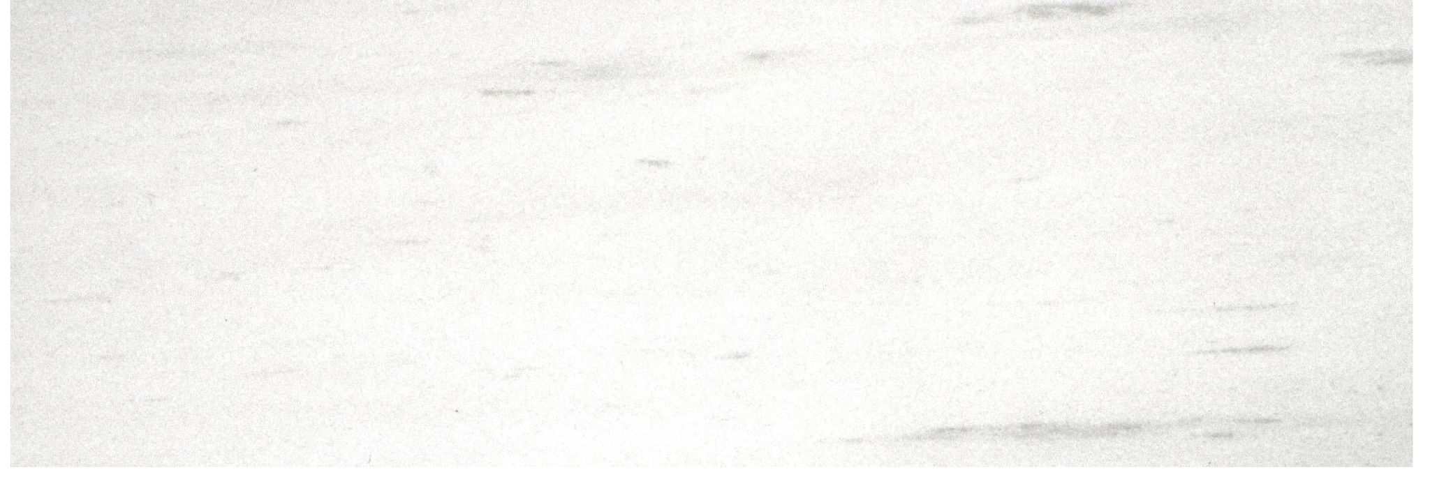 Polished Devotion 4X12 | North Hills Flooring