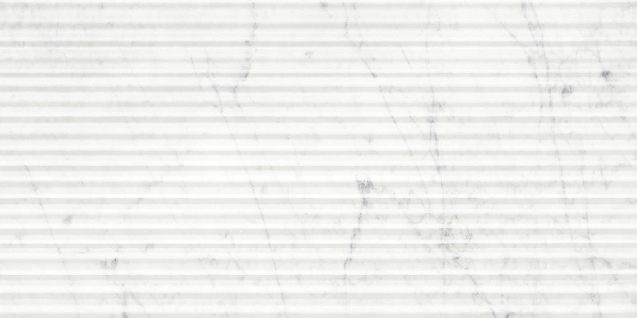 Eterna Bianco 12x24 Honed Curva | North Hills Flooring