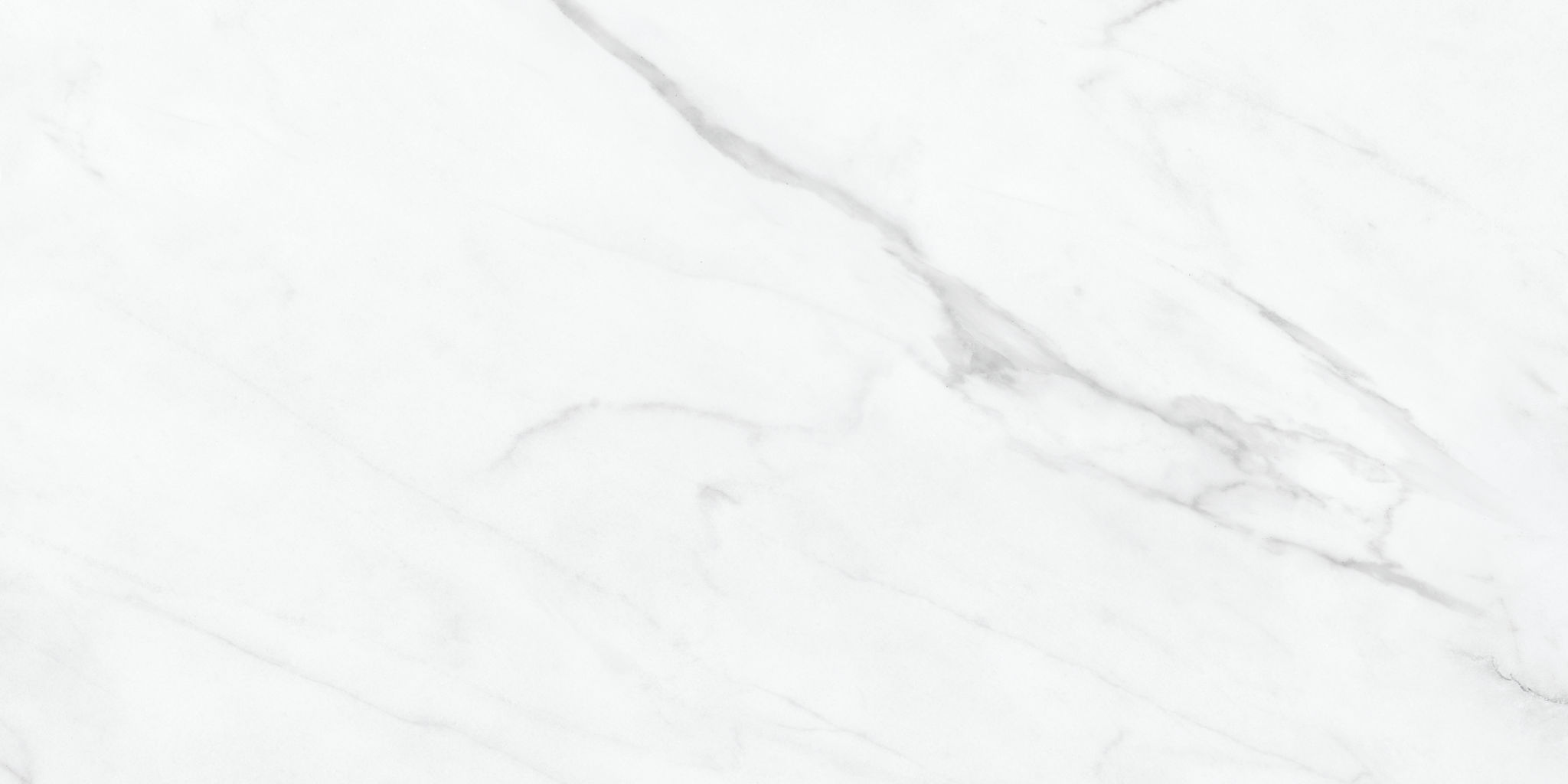 Altezza 12x24 Carrara | North Hills Flooring