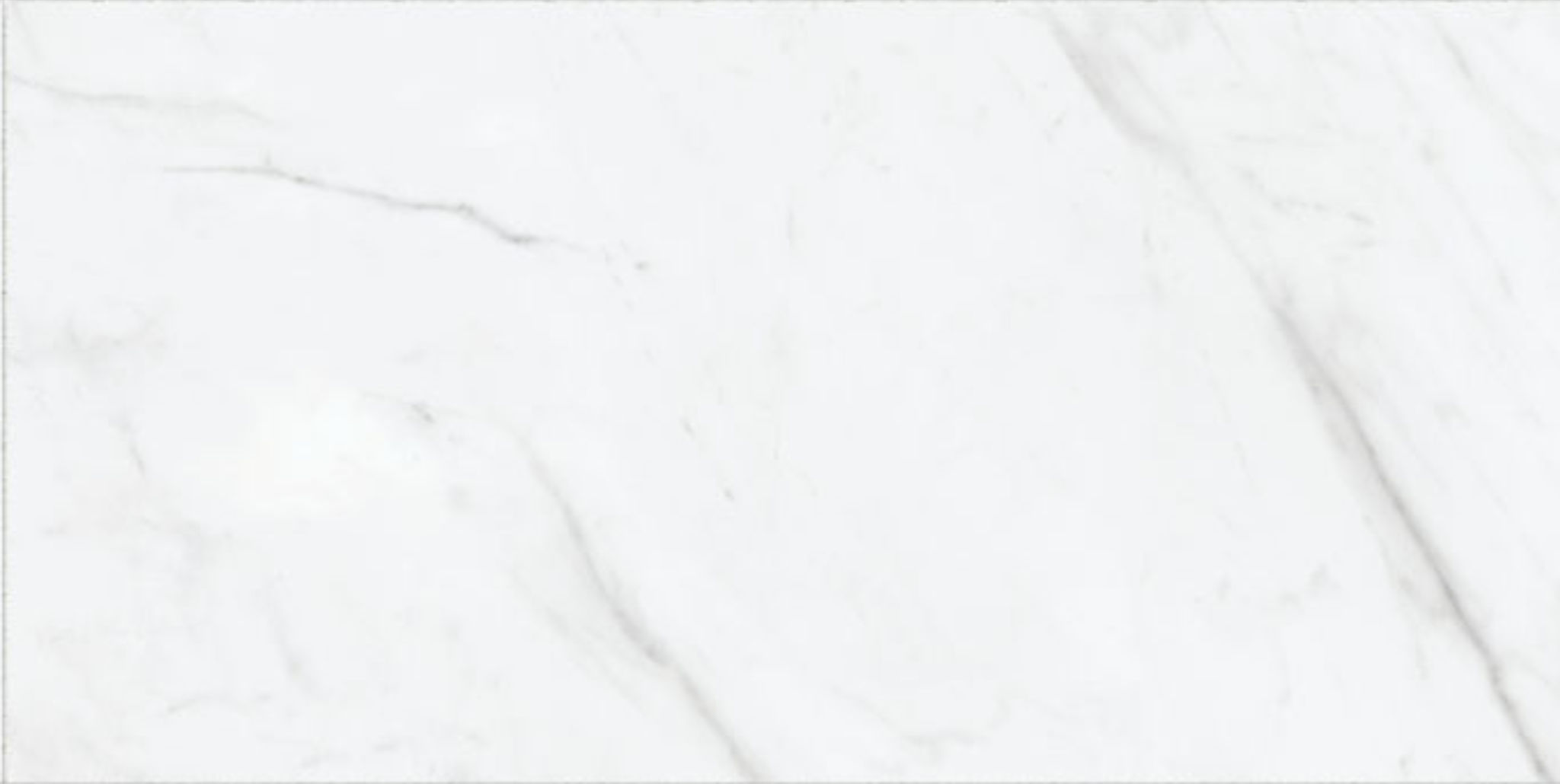Altezza 12x24 Carrara | North Hills Flooring