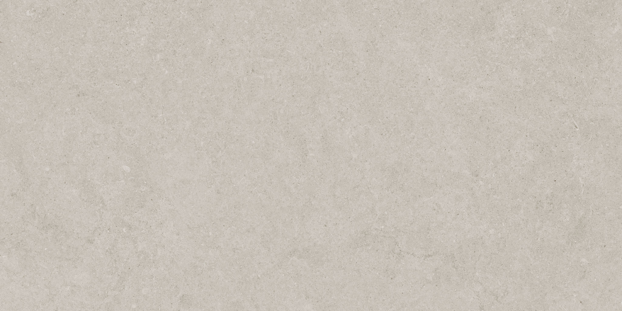 Lithoform 12X24 Crosscut Coast | North Hills Flooring