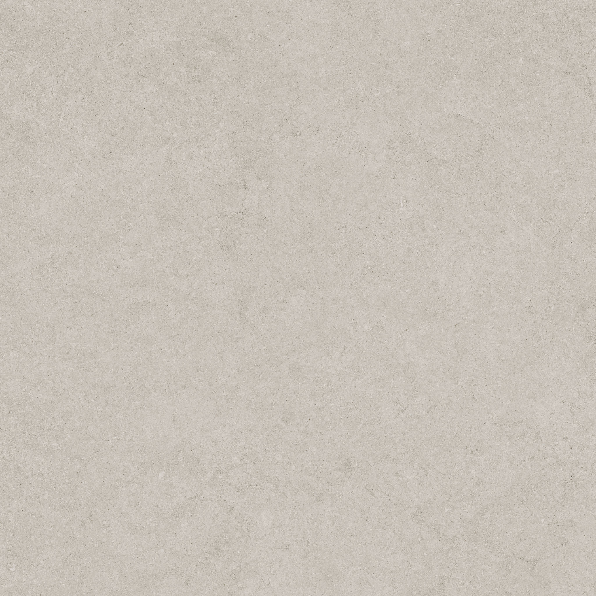 Lithoform 24X24 Crosscut Coast | North Hills Flooring