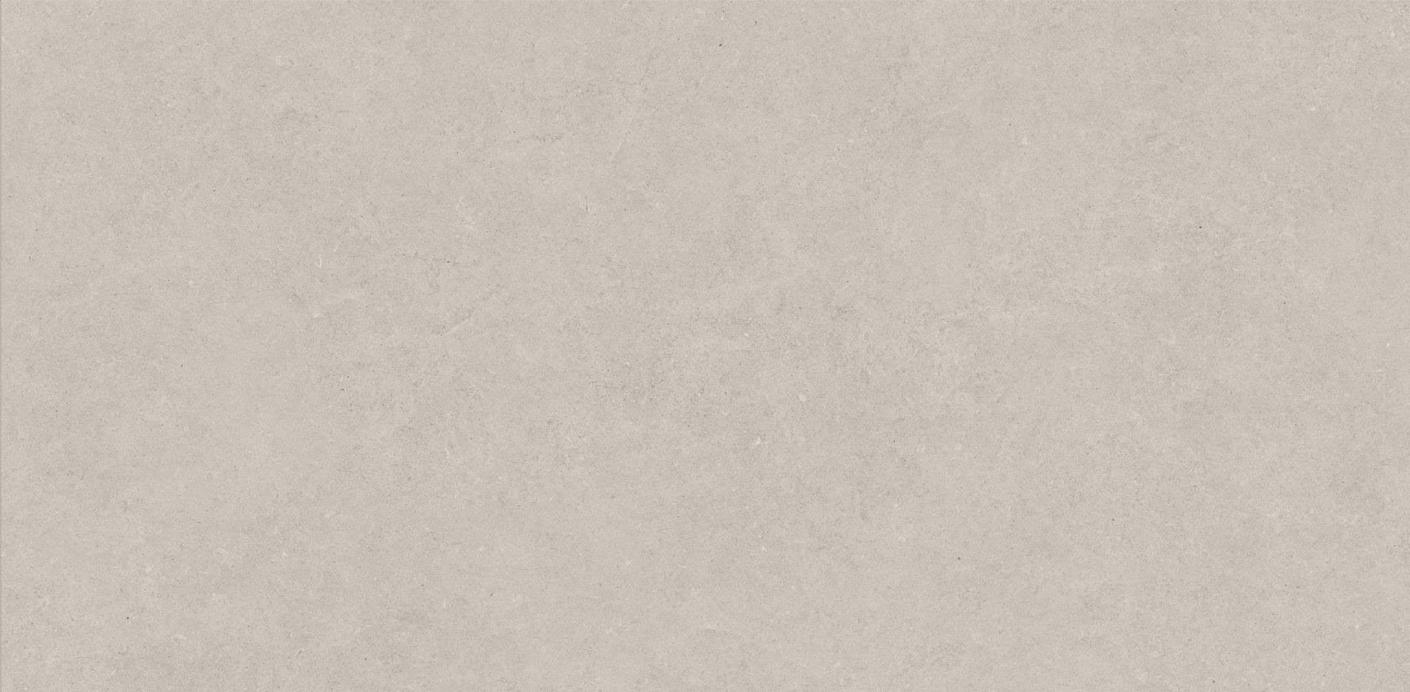 Lithoform 24X48 Crosscut Coast | North Hills Flooring