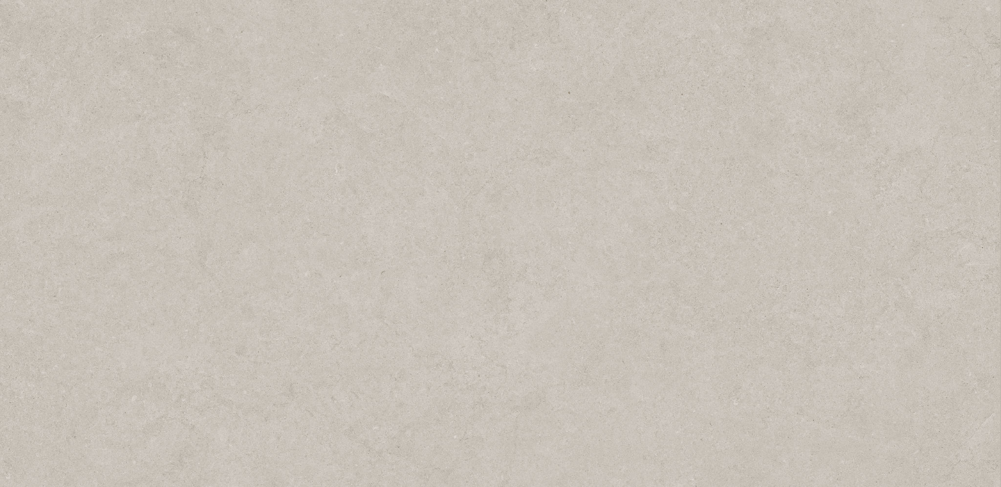 Lithoform 24X48 Crosscut Coast | North Hills Flooring