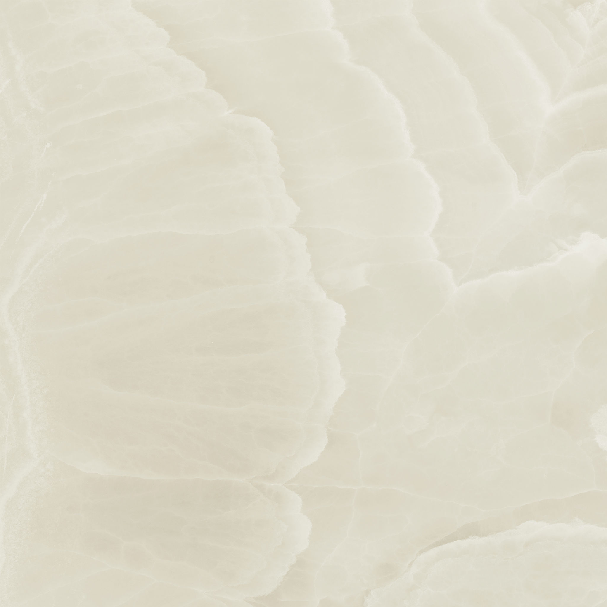 Lustra 36x36 Onyx Crema Honed | North Hills Flooring