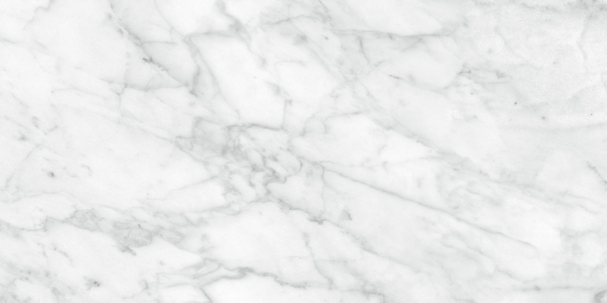 Plata 12x24 Carrara Abisso Polished | North Hills Flooring
