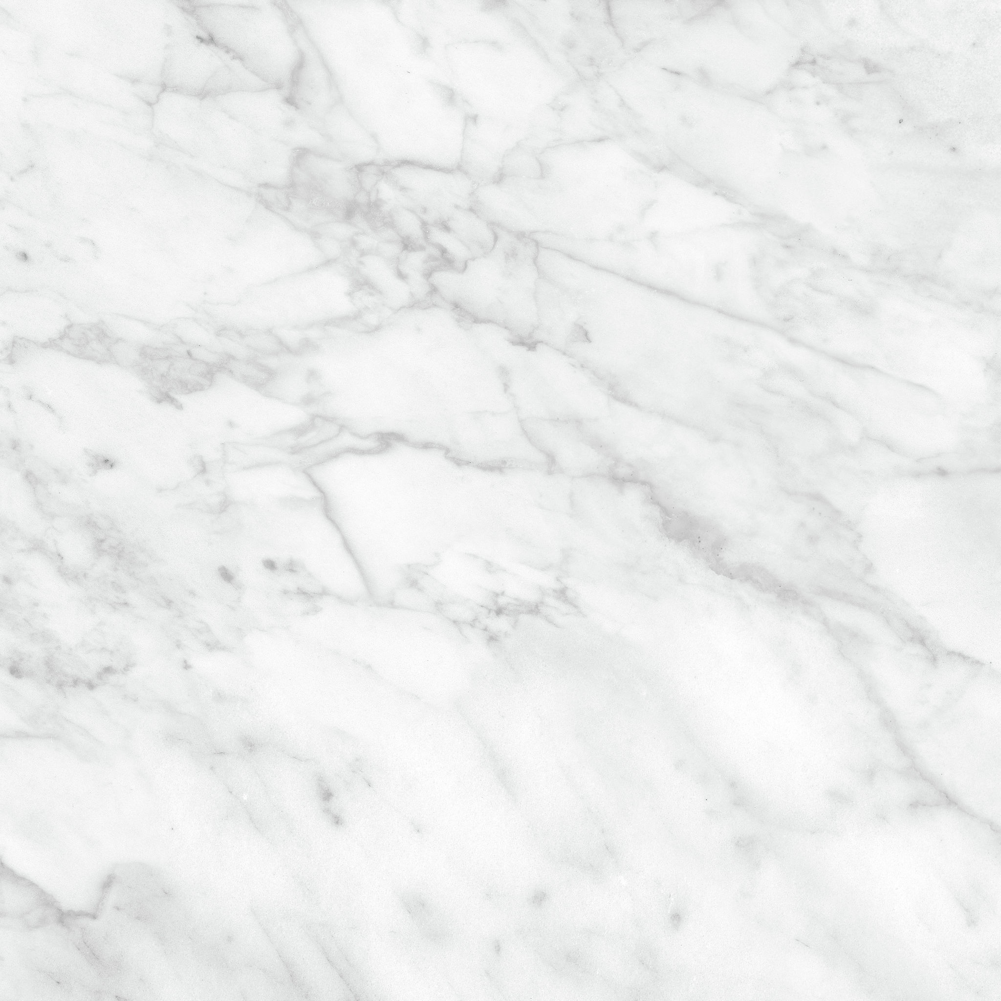 Plata 24x24 Carrara Abisso Matte | North Hills Flooring