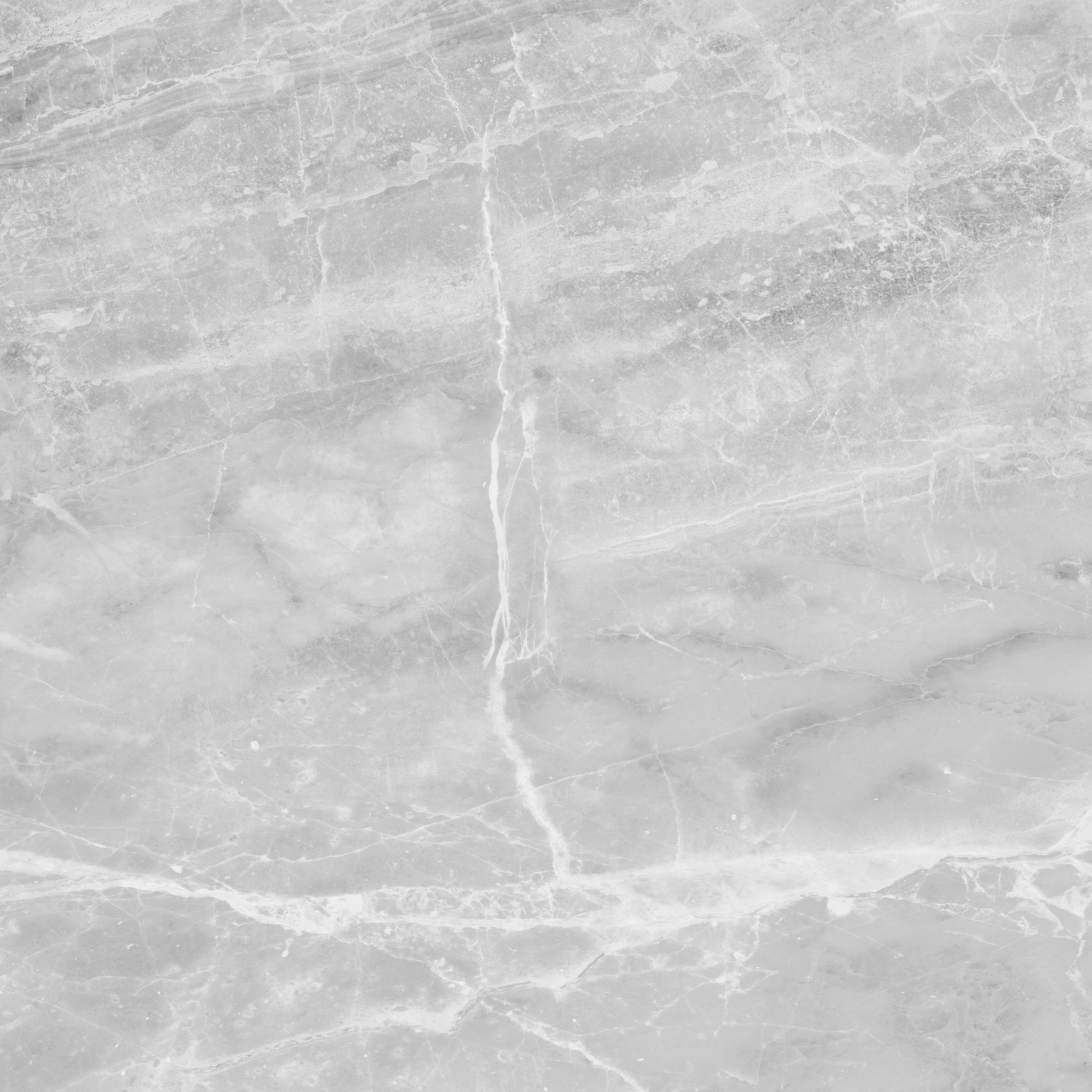 Plata 24x24 Perla Grigia Matte | North Hills Flooring