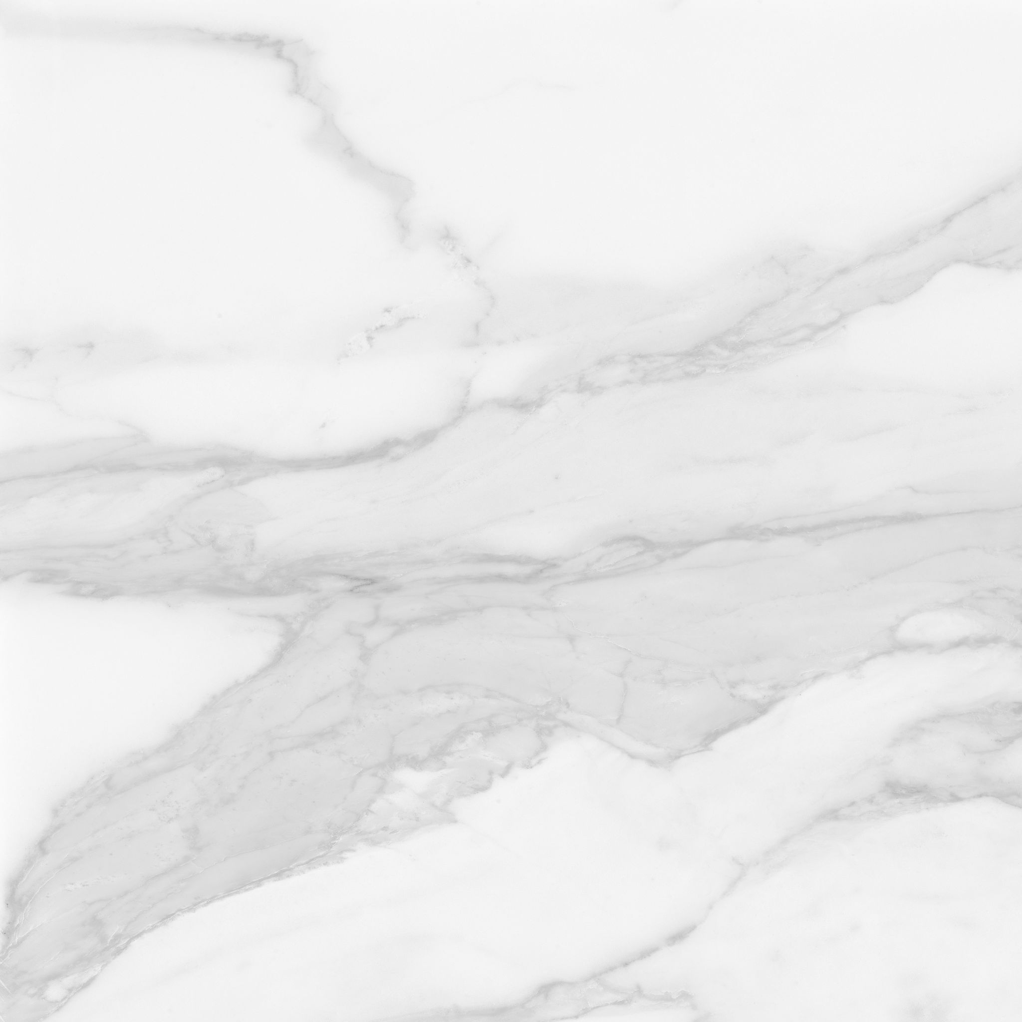Plata 24x24 Statuario Brina Polished | North Hills Flooring