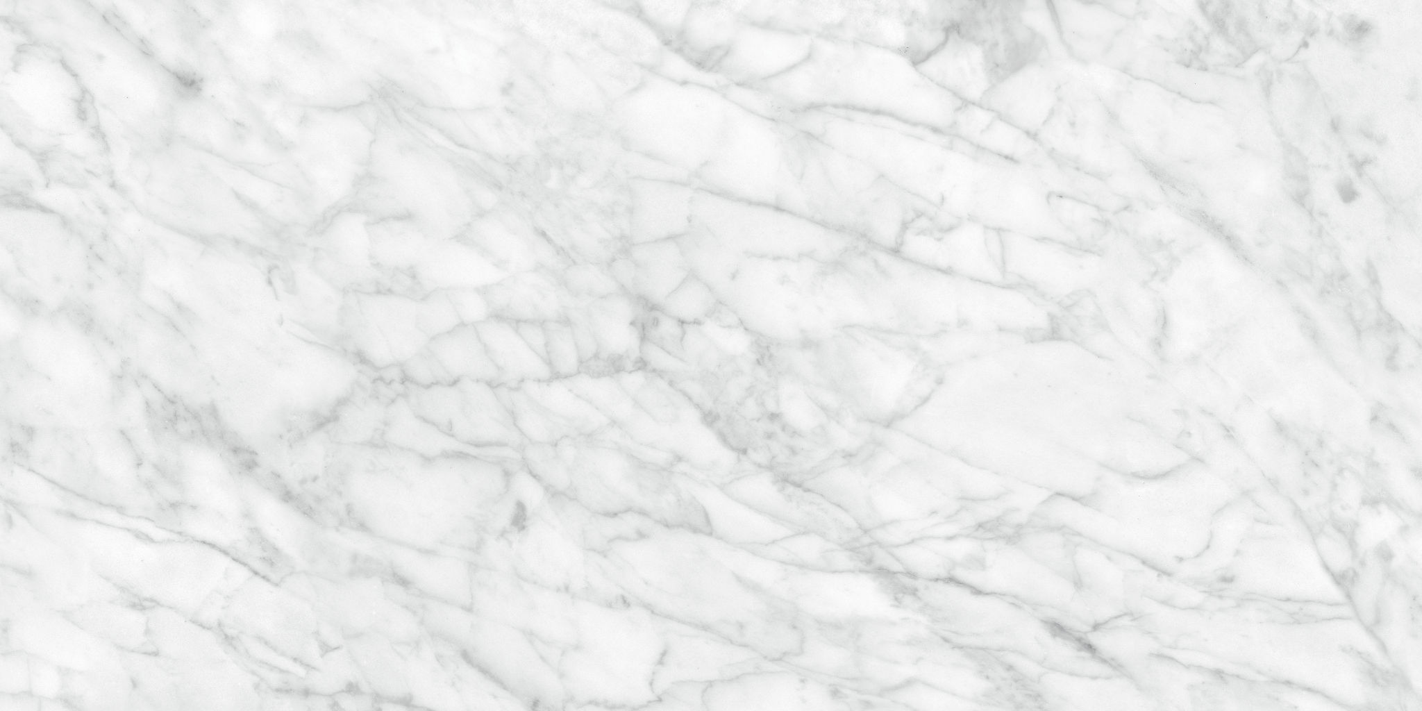 Plata 24x48 Carrara Abisso Polished | North Hills Flooring