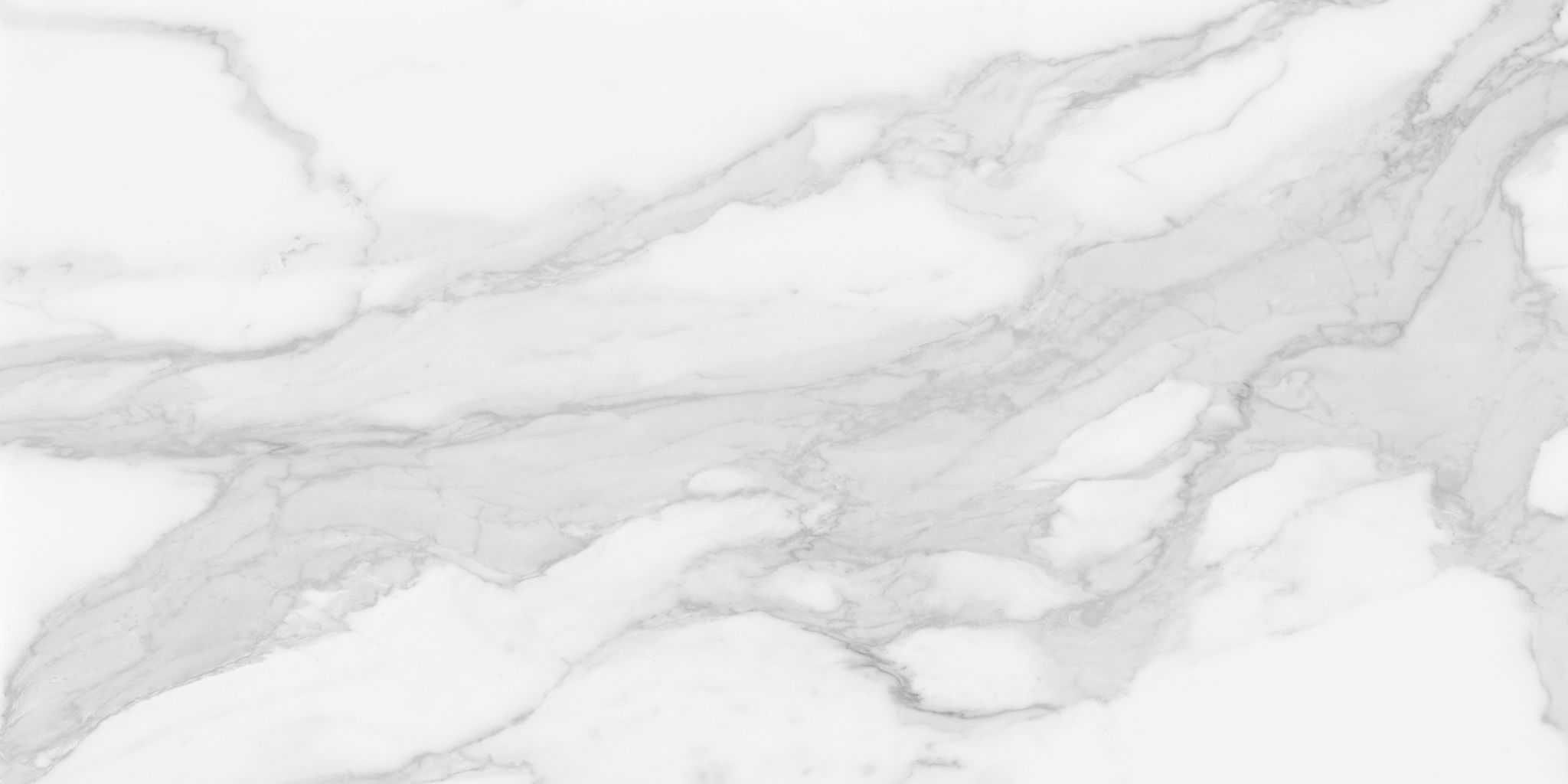 Plata 24x48 Statuario Brina Matte | North Hills Flooring