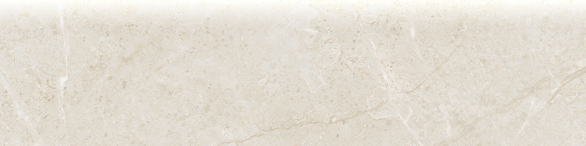 Torino 3x12 Avorio Bullnose | North Hills Flooring