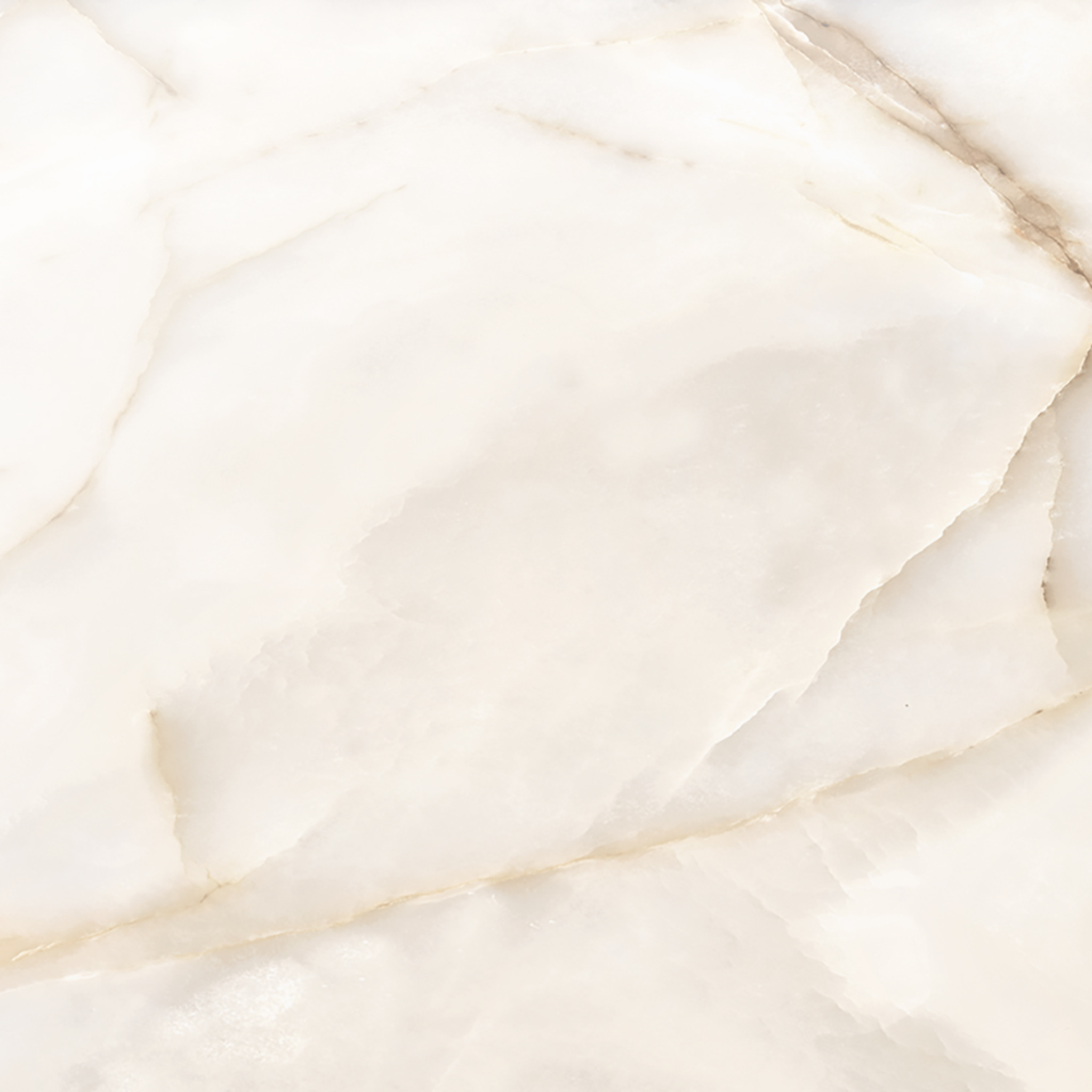 Intrigue Ivory Polished 24x24 | North Hills Flooring