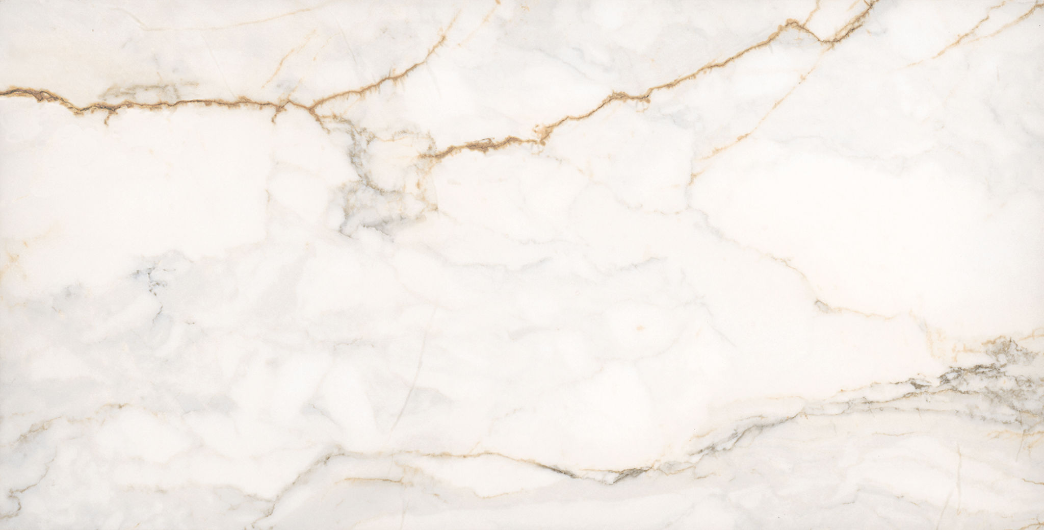 Treasure II Perfect Calacatta 12x24 Polished | North Hills Flooring
