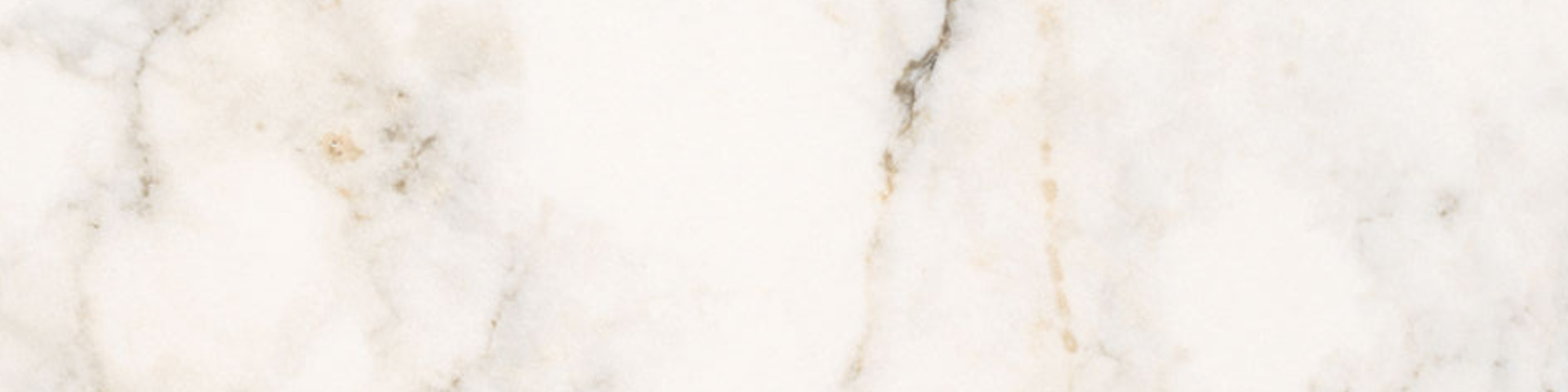 Treasure II Perfect Calacatta 4x12 Polished | North Hills Flooring